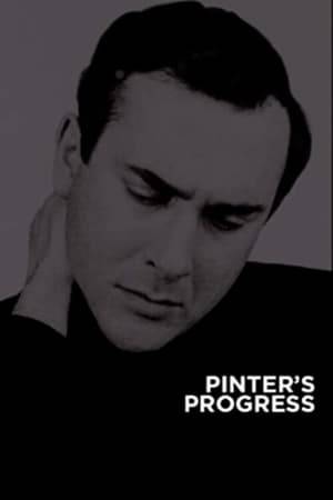 A personal take on working with Harold Pinter via intimate conversations with actors, directors and writers who share their experiences of the man and his work.