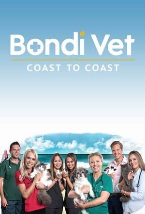 Viewers are welcomed into the lives of emergency specialist Dr Alex Hynes, wildlife expert Dr Peter Ricci, Bondi local Dr Kate Adams, recent graduate Dr Danni Dusek, private-practice owner Dr Lewis Hunt and mobile-vet sisters Drs Alison and Audrey Shen. Share the excitement, drama and tears of joy as these dedicated vets save the lives of beloved pets and exotic animals every day.