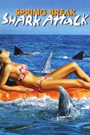 A young teenager travels to Florida, unknowing that a group of dangerous tiger sharks are ravaging the beach.