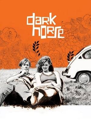 A young man spurs romance and helps his friend and himself go through the struggles of their ordinary life in Denmark.