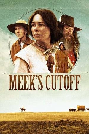 Set in 1845, this drama follows a group of settlers as they embark on a punishing journey along the Oregon Trail. When their guide leads them astray, the expedition is forced to contend with the unforgiving conditions of the high plain desert.