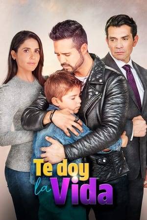 A couple adopts a boy named Nicolás. Over the months, Nicolás is diagnosed with leukemia, and to try to recover, he will need the help of his biological father, whom he does not know.