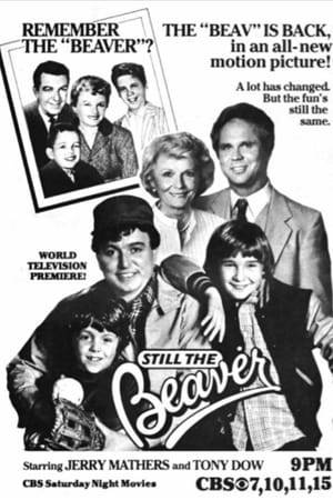 This movie reunites most of the members of the Cleaver clan, Wally, June, and of course, the Beaver. Their father Ward has passed away. Wally's married to Mary Ellen and a successful lawyer and has everything to make his life complete except for a child. The Beaver is married but unfortunately is still the same which is why his wife threw him out. With nowhere else to go, he goes home. And he also decides that he wants to raise his children, in his hometown of Mayfield. His wife, who decides that she hasn't done anything in her life, decides to become a veterinarian, but she can only go to school out of the country, so she let's Beaver have the children. So he brings his sons there and they are not exactly impressed with Mayfield and feel that they were dumped there, and bond more with Wally than with their own father. They also have to deal with Eddie Haskell, who has gone from nasty to crooked. It's a good thing they still have their mom.