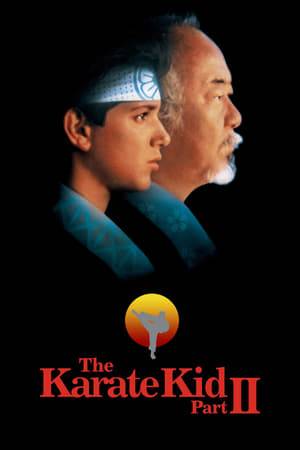 After discovering that his father is at death's door, Mr. Miyagi sets out to Japan, to see him with Daniel. Upon arriving, Miyagi must confront an old rival. Meanwhile, Daniel encounters a new love, and some new enemies.