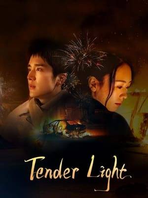 The dim light and shadow wake up the dark night, everything is silent, and there is no place to hide the heartbeat. In the lights of the town, Nanya and Zhou Luo encountered a touch of warmth.