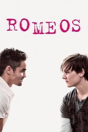 Lukas, 20, is a prisoner in his own body. As a pre-op transgendered person, he is constantly finding himself trapped in uncomfortable, compromising positions. His best friend, Ine introduces him to the gay scene in Cologne where he meets the confident and gorgeous, Fabio. The two develop a romantic relationship that tests the boundaries of love. ROMEOS forgoes stereotypes and conventions to offer an honest and humorous examination of the most basic of human conditions: friendship, sex, and love.