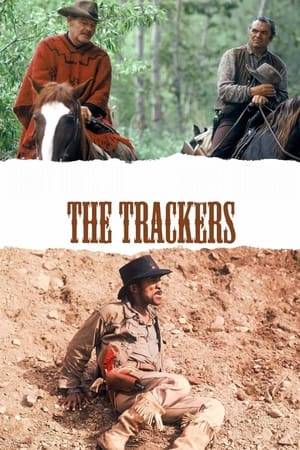 A rancher comes home and finds that his son has been murdered and his daughter kidnapped by a bandit gang. He hires a professional tracker with a reputation for finding his quarry to help him find the gang and rescue his daughter.