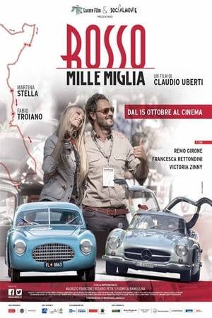 The story is based on 2014 Mille Miglia and encompasses eighty-five years of the race, from early 1930s to the present day, mixing life, memories, mystery and excitement of its characters who are brought together by the love for cars and separated by long-time secrets. They are fascinated by the presence and the story of a fabulous OM 665 Superba - a car built in Brescia, who won the first edition in 1927 - taken to pieces and forgotten for so many years.
