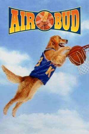 A lonely boy befriends a stray dog who has a natural talent for basketball and together they experience the highs and lows of life as their friendship remains solid through a series of escapades.