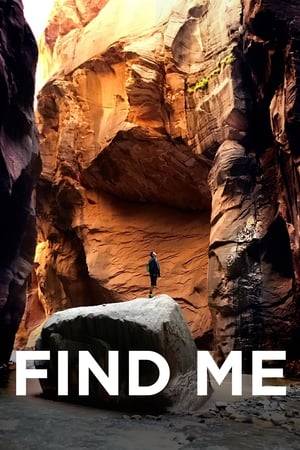 An emotionally wounded accountant decides to break away from routine and find his missing friend, who has left clues for him of her whereabouts throughout National Parks across the West.