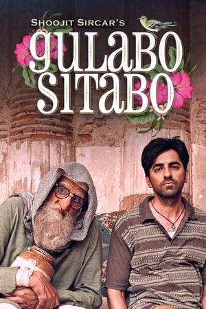 Set in present-day Lucknow, Gulabo Sitabo is a social satire about two impossibly peculiar human beings, Mirza Chunnan Nawab, who stays in a dilapidated mansion and one of the tenants, Bankey Rastogi.