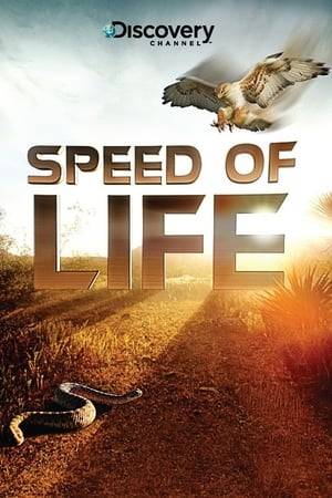 The Speed of Life is a brand new series, specializing in high speed photography to capture the amazing, blazing fast intricacies of daily life for animals and insects on the planet. Most especially, Speed of Life focuses on predators and prey, showing remarkable detail and breathtaking footage that you wouldn't believe.