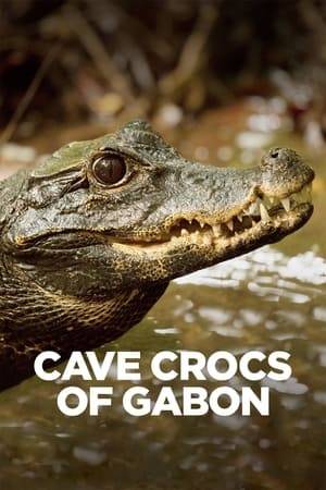 A caving expedition recently discovered a community of dwarf crocodiles living in the Abanda Caves, Gabon. The crocs are living in pitch darkness, hunt bats and some have bright-orange skin. Part of the original team returns to find out more about this bizarre phenomenon. It's mission impossible to access the crocs world and there's no way of knowing what they might find.