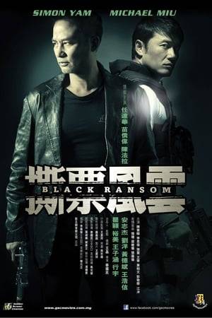A powerful triad boss has been kidnapped, and the new police superintendent Koo decides to recruit the help of Mann, a former supercop who has since been relegated to back-up duty. Mann has his work cut out for him when he realizes his opponent is Sam, a former cop with plenty of grudges. When Sam takes the fight to Mann’s family, Mann is more than determined to bring down the dangerous kidnapper and his gang.