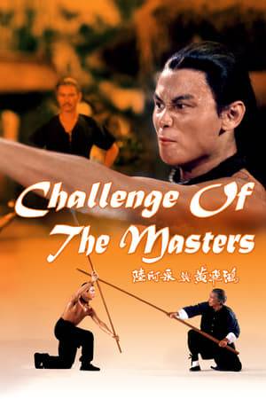 The Wong family kung fu school gets smacked around by a rival school. Wong Fei-hong gets fed up with the abuse and goes to learn from his fathers master. After one of the rival schools members kills some of the towns people Wong Fei-hong becomes enraged trains even more comes back and gets his revenge.