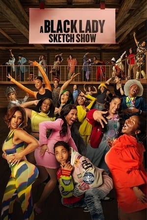 A narrative series set in a limitless magical reality full of dynamic, hilarious characters and celebrity guests presenting sketches performed by a core cast of black women.