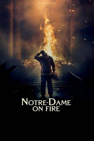 A film relating from the inside the Notre-Dame de Paris fire of April 2019.