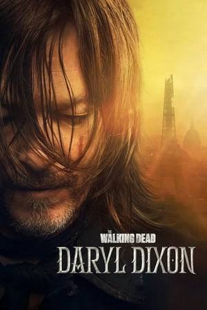 Daryl washes ashore in France and struggles to piece together how he got there and why. The series tracks his journey across a broken but resilient France as he hopes to find a way back home. As he makes the journey, though, the connections he forms along the way complicate his ultimate plan.