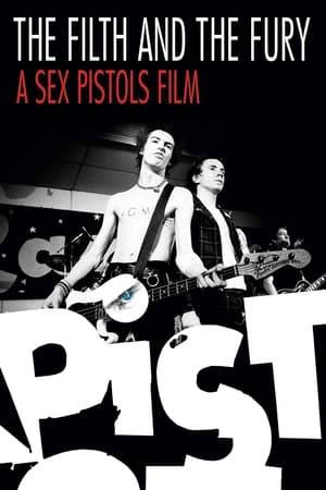 Julien Temple's second documentary profiling punk rock pioneers the Sex Pistols is an enlightening, entertaining trip back to a time when the punk movement was just discovering itself. Featuring archival footage, never-before-seen performances, rehearsals, and recording sessions as well as interviews with group members who lived to tell the tale--including the one and only John Lydon (aka Johnny Rotten).
