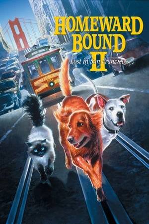 When the pets accidentally get separated from their vacationing owners, Chance, Shadow, and Sassy navigate the mean streets of San Francisco, trying to find their home across the Golden Gate Bridge. But the road is blocked by a series of hazards, both man and beast.