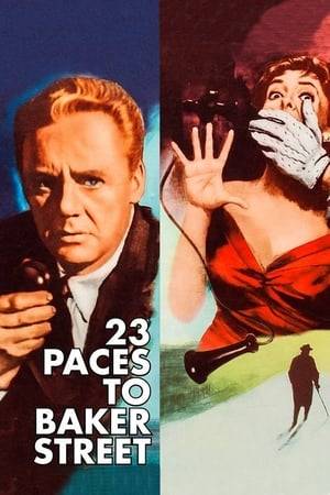 Philip Hannon, a blind playwright living in London, overhears part of a conversation , that leads him into a desperate race, to find a kidnapped child. When he gets no help from the police, he along with his butler, and his ex fiancée, attempt to track down the crooks.