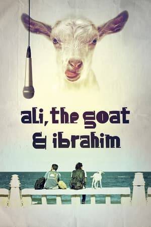 Ali believes his late girlfriend's soul has been reincarnated in a goat. His mother forces him to visit a spiritual healer, where he meets Ibrahim, who suffers from severe depression and hears mysterious noises, in a way to find hope, Ali, his goat and Ibrahim head on a trip across Egypt hoping to help each other overcome their problems.