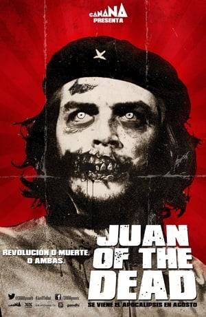 While Havana is full of zombies hungry for human flesh, official media reported that the disturbances are caused by dissidents paid by the United States. Panic seizes all until Juan comes to the rescue: he discovers he can kill the undead destroying his brain, and decides to start a small business under the slogan "We kill your loved ones."