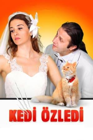 Kıymet and Kadir are a couple in their mid-thirties, having problems with relationship. They decide to fix those by getting a cat.
