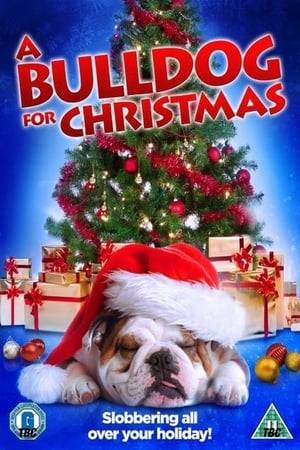 On Christmas vacation,a cynical college student is magically transformed into a bulldog until she learns the meaning of her family and the spirit of Christmas.