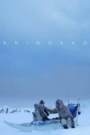 Aningaaq, an Inuit fisherman camping on the ice over a frozen fjord, talks through a two way radio with a dying astronaut who is stranded in space, 500 kilometers above Earth. Even though he doesn't speak English and she doesn't speak Greenlandic, they manage to have a conversation about dogs, babies, life and death.