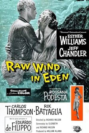 Passengers struggle to survive after their plane crashes on a remote island. Director Richard Wilson's 1958 drama stars Esther Williams, Jeff Chandler and Rosanna Podesta.