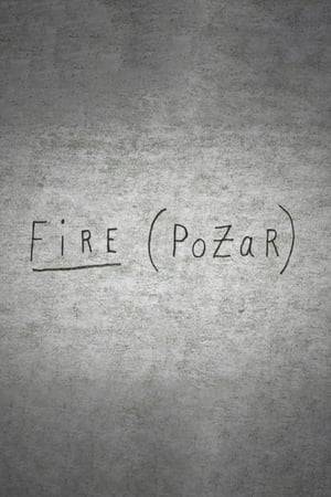 Lynch made the animation film Fire after the Polish-American composer Marek Zebrowski created a musical composition as a tribute to him.