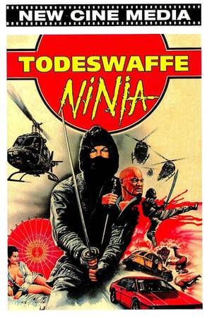 A ninja hero stealthily sets out to get revenge upon the mobsters who murdered his brother.
