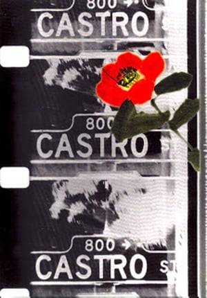 Inspired by a lesson from Erik Satie, a film in the form of a street: Castro Street, running by the Standard Oil Refinery in Richmond, California.  Preserved by the Academy Film Archive in partnership with Pacific Film Archive in 2000.