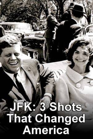 The film is an unnarrated collection of archived news and home movie footage shot as events unfolded, some of it rarely seen. Part one deals with the time from President Kennedy's arrival in Dallas on November 22, 1963 through the murder of Lee Harvey Oswald less than 48 hours later.  Part two deals with the Warren Commission, its critics and those who suspect a conspiracy, the assassinations of Martin Luther King, Jr. and Robert F. Kennedy in 1968 and the turmoil that followed, and the continuing doubt about the assassinations and the effects this has had on American society.