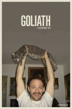A recently divorced man tries to find the one aspect of his marriage that still matters to him: his missing cat, Goliath.