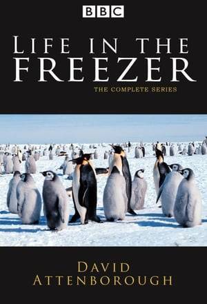 Sir David Attenborough looks at the natural history of the Antarctic continent