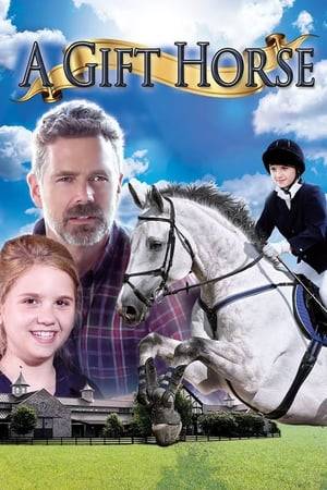 Torn apart by the loss of her mother, young Amanda spends time at a ranch owned by a business tycoon. When his spoiled daughter rejects their new horse, Amanda proves that Misty is a true champion and restores her happiness in the process.