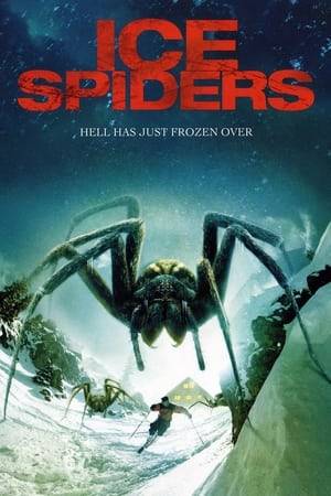 When a young ski team training for the Olympics arrives at the remote and isolated Lost Mountain Ski Resort to focus on training, they're thrilled to find a retired Olympic skier is there to help them train. But their plans are halted when a scientist working at a nearby government lab arrives with the horrifying news that a top secret Government project has produced giant spiders and they have escaped, killing and eating everything in sight.