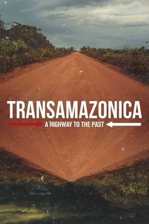 The Transamazon highway was a gigantic saga, the greatest example of the pharaonic works of the Brazilian military government. But the road that would promote national integration was best known for linking the famine of the Northeast with the misery of the Amazon. This haunting docuseries follows the story of the construction of this highway and its morbid consequences.