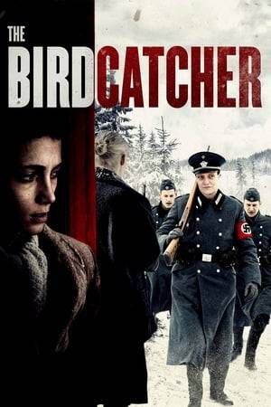 Norway, 1942, during World War II. After being separated from her family, Esther, a young Jewish girl from Trondheim, arrives at an isolated farm where she must assume a new identity in order to survive the Nazi persecution.