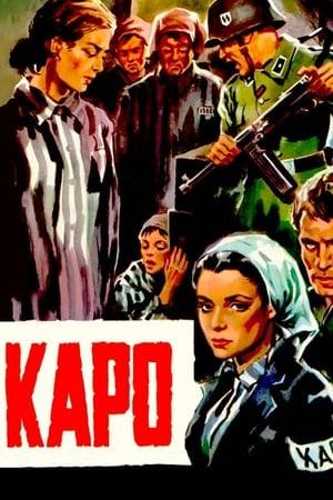 Determined to survive at any price, Edith, a young Jewish woman deported to an extermination camp, manages to survive by accepting the role of kapo, a privileged prisoner whose mission is to ruthlessly guard other prisoners.