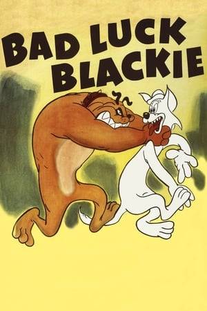 A kitten who is being tormented by a bulldog finds a savior in a black cat (from the "Black Cat Bad Luck Company") who merely has to cross the dog's path for something very unlucky to happen to the bully.