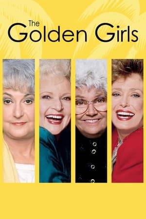 Four Southern Florida seniors share a house, their dreams, and a whole lot of cheesecake. Bright, promiscuous, clueless and hilarious, these lovely, mismatched ladies form the perfect circle of friends.