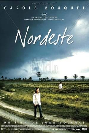 An accidental meeting between a French woman who goes to South America to adopt a baby and an Argentinian woman who with her small son leaves their hopeless village in search for a better life changes both of their lives forever.
