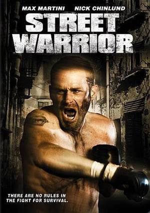 An Iraqi war vet returns home to find that his brother is in a coma from participating in an illegal underground fight club.