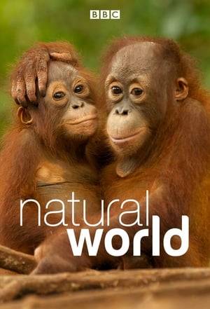 Natural World is a nature documentary television series broadcast annually on BBC Two and regarded by the BBC as its flagship natural history brand. It is currently the longest-running series in its genre on British television, with more than 400 episodes broadcast since its inception in 1983.

Natural World is produced by the BBC Natural History Unit in Bristol, but individual programmes can be in-house productions, collaborative productions with other broadcasters or films made and distributed by independent production companies and purchased by the BBC. Natural World programmes are often broadcast as PBS Nature episodes in the USA. Since 2008, most Natural World programmes have been shot and broadcast in high definition.