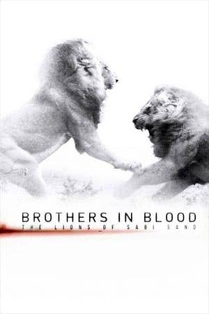 This is a powerful documentary, filmed over a 16 year span, about the rise of a Coalition of six lions, branded The Mapogo Lions, and their takeover of the largest territory by a pride.