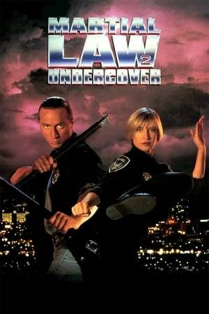 Sean and Billie are undercover cops and martial arts masters. Investigating the death of a cop, they uncover a deadly ring of murder and corruption at a glitzy nightclub where the rich are entertained by seductive women and protected by martial arts experts. Billie goes undercover to infiltrate the crime ring, leading to an explosive finale.