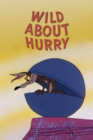 Wile E. Coyote tries to catch the Road Runner by enclosing himself inside an indestructible steel ball.
